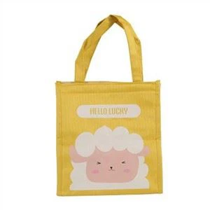 Insulated Collapsible Cooler Bag