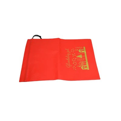 Non-woven Gift Bag